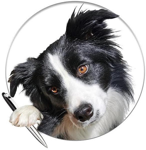 246cf59e-4eb7-4a06-a548-0d49d3e2302f