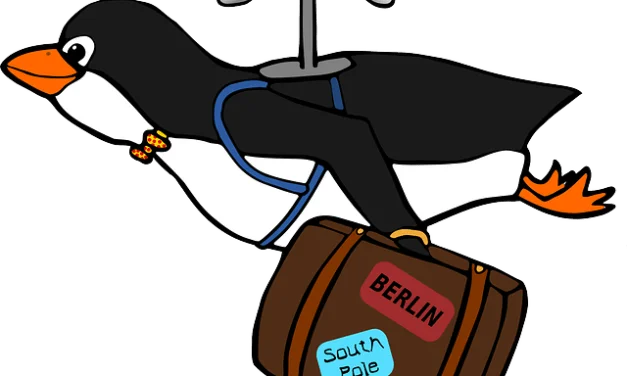 Old stuff vs new stuff